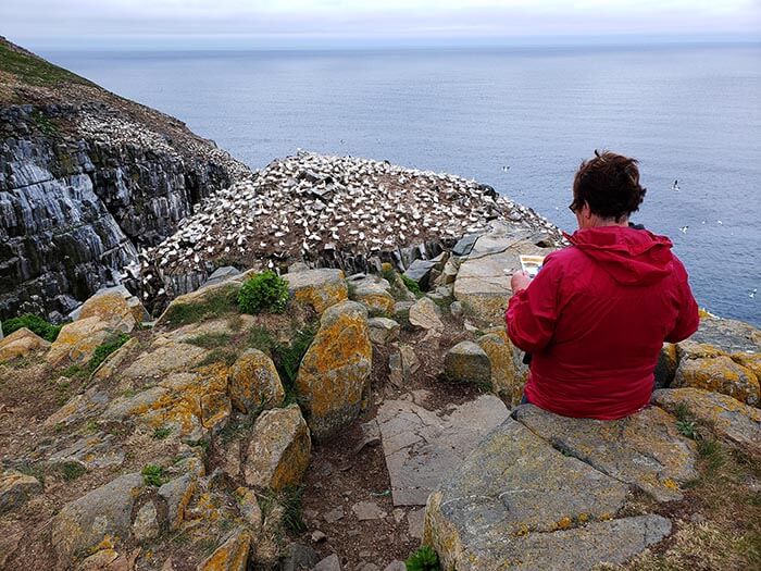 st-mary-s-gannet-rock.jpg