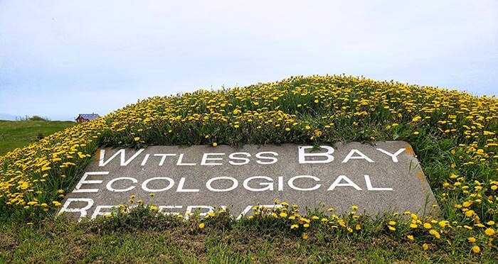 witless-bay-sign.jpg