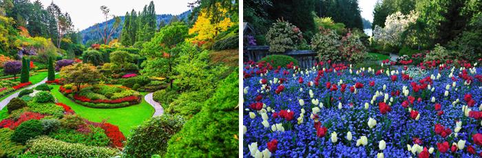 Butchart Gardens