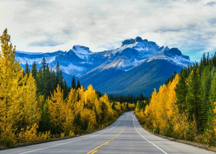 Autumn foliage in front of mountain range